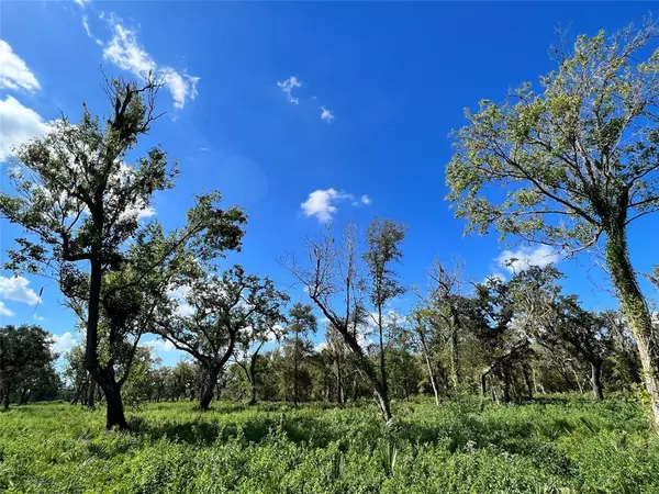 Brazoria, TX 77422,Lot 3 County Road 506