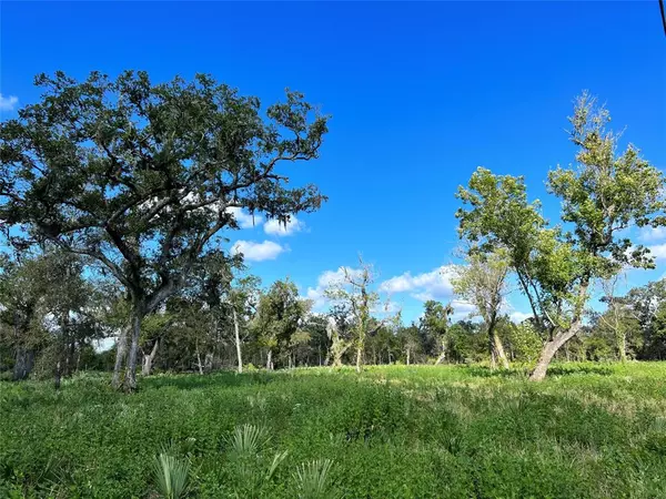 Brazoria, TX 77422,Lot 3 County Road 506