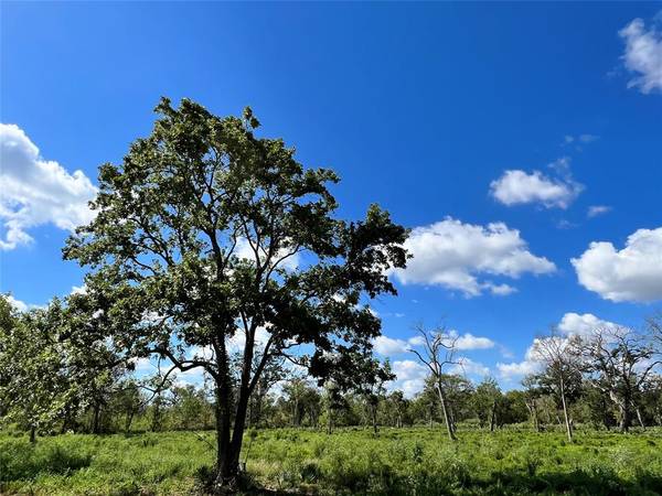 Lot 3 County Road 506, Brazoria, TX 77422