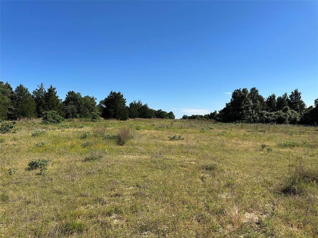 Teague, TX 75860,TBD FCR 720