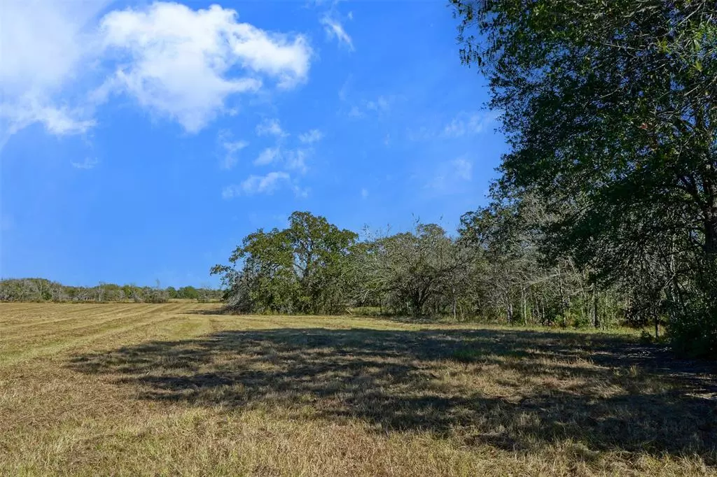 Bedias, TX 77831,Lot 6 County Rd 229