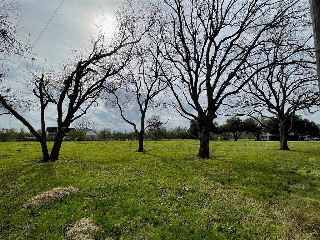 Simonton, TX 77485,01 Longhorn RD