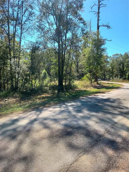 TBD County Road 349, Cleveland, TX 77327