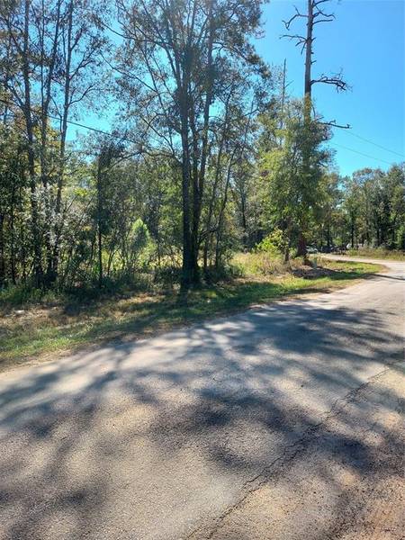 TBD County Road 349, Cleveland, TX 77327