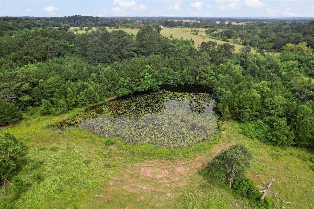 Waller, TX 77484,555 Scroggins LN