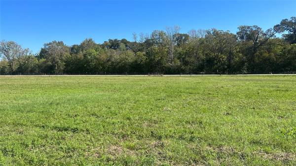 Lot 3 CR 319, Navasota, TX 77868