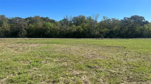 Navasota, TX 77868,Lot 3 CR 319