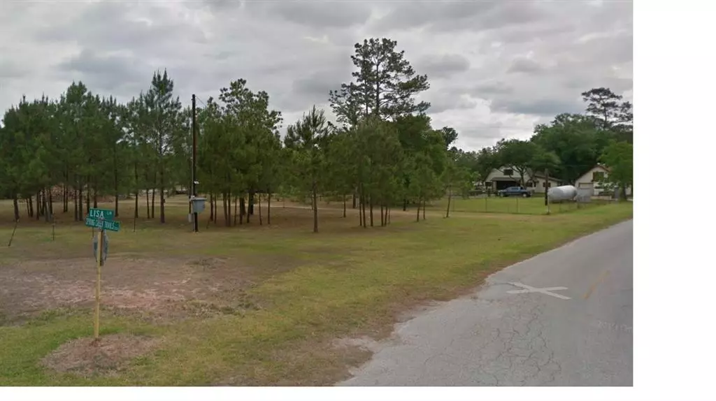 Spring, TX 77373,0 Lesa LN