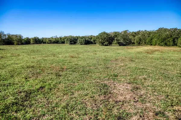 Brenham, TX 77833,07 Sawmill Road Tract 7