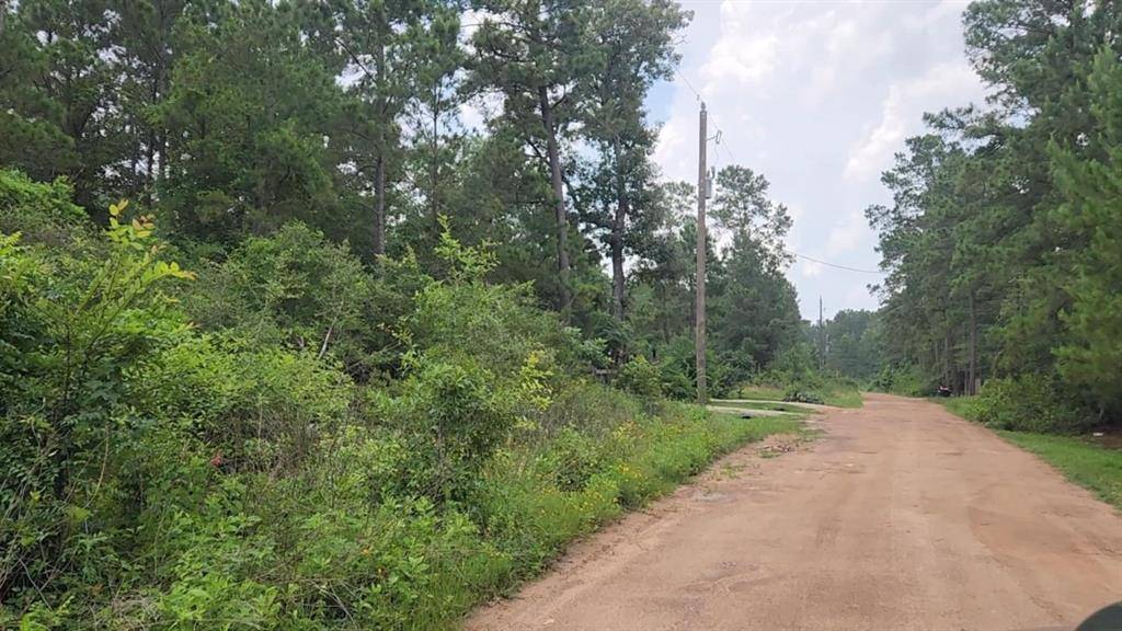 Lot 35 Scarlet Oak DR, Plantersville, TX 77363