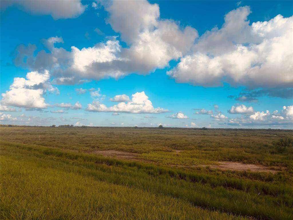 0-4.988 acres FM 2918 RD, Brazoria, TX 77422