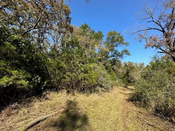 Buffalo, TX 75831,9 ac CR 2691