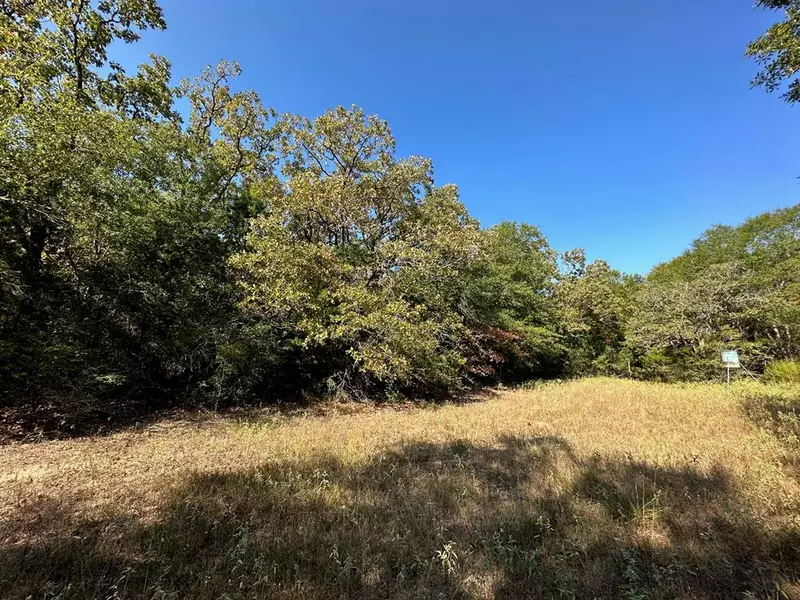 9 ac CR 2691, Buffalo, TX 75831