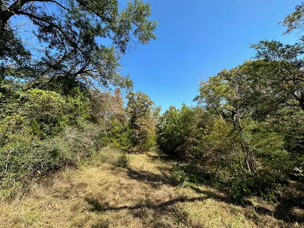 Buffalo, TX 75831,9 ac CR 2691