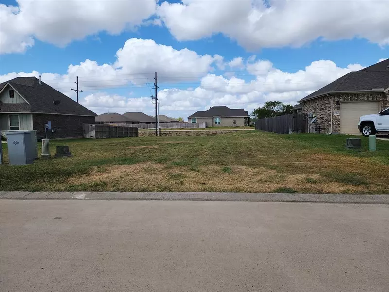 TBD Birdie CT, Navasota, TX 77868