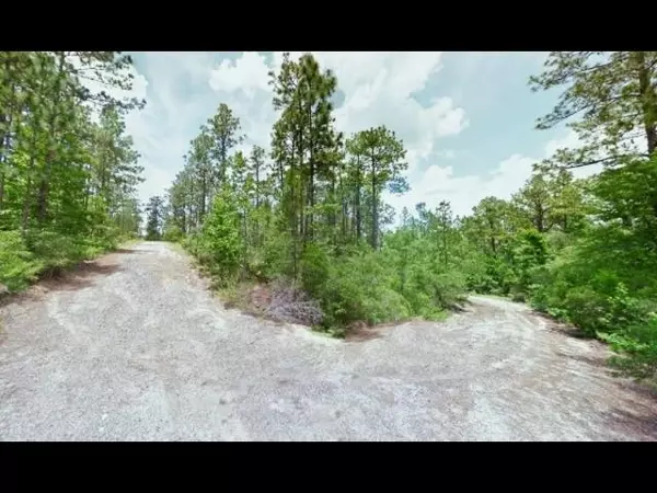 Brookeland, TX 75931,Lot 136 Sugi LN