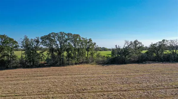 Bedias, TX 77831,Lot 3 County Rd 229