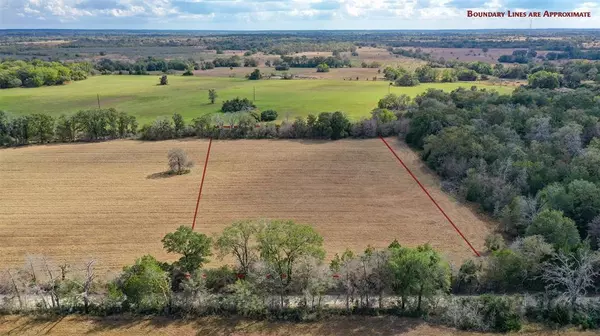 Lot 3 County Rd 229, Bedias, TX 77831