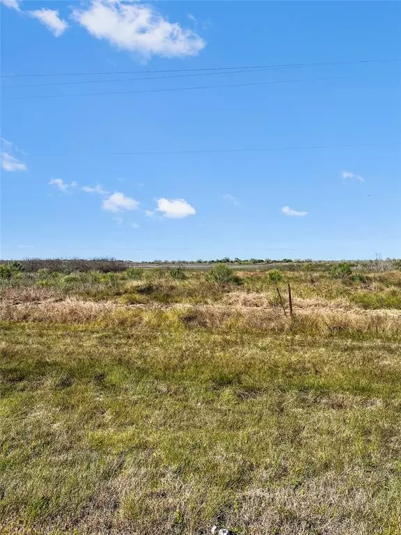 Brazoria, TX 77422,lot 1 Fm 2918