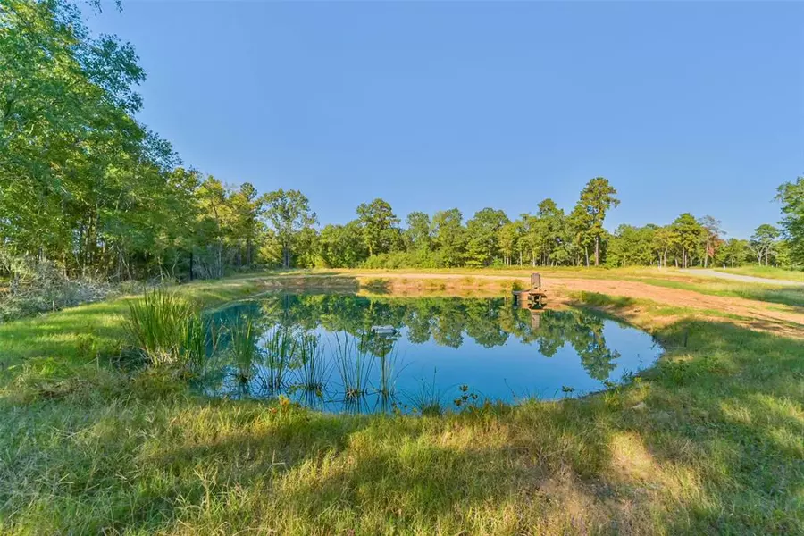 Lot 13 Spring Branch Rd, Montgomery, TX 77316