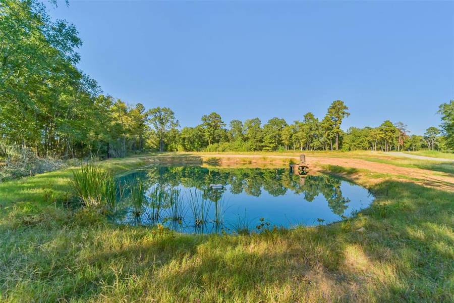 Lot 13 Spring Branch Rd, Montgomery, TX 77316