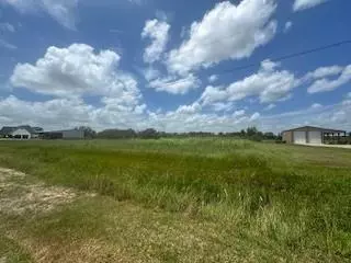 Angleton, TX 77515,1108 Angus TRL