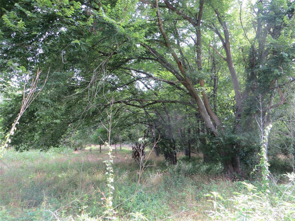 New Ulm, TX 78950,1033 Dr Neal Road