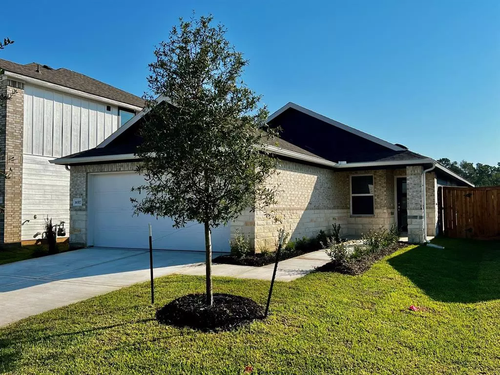 Conroe, TX 77302,16517 Breezy Knoll Court