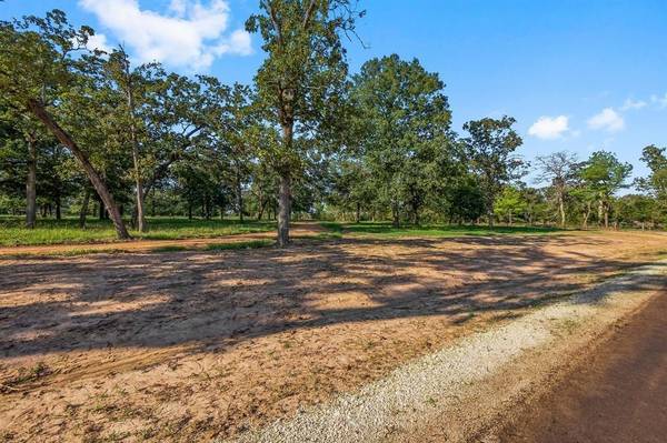 New Waverly, TX 77358,Lot 1 Alans Lane