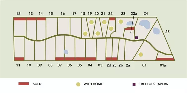 Carmine, TX 78932,TBD Vineyard View Trail - Lots 15,16,17