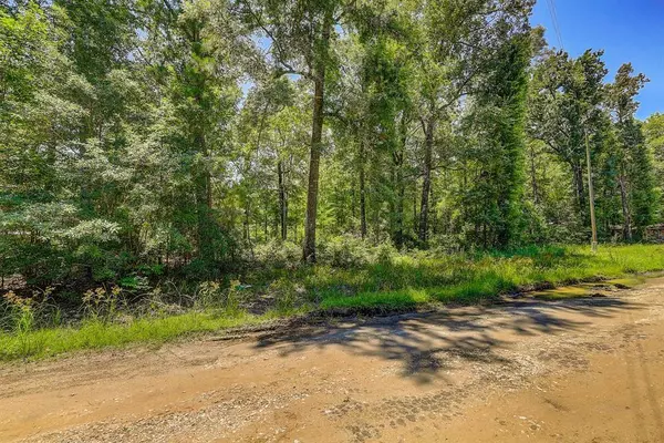 Livingston, TX 77351,Lot 430 Parkpine ST