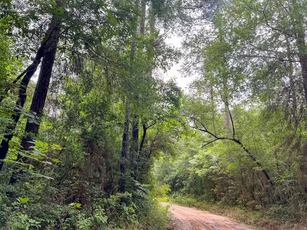 Honey Island, TX 77625,0 Bracken Cemetery Road