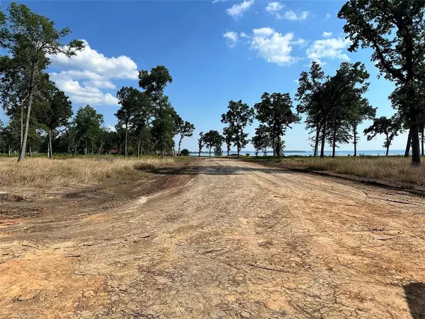 Livingston, TX 77351,Lot 37 Island View Estates