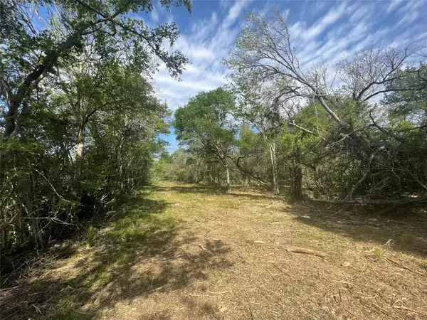 Brazoria, TX 77422,0 CR 400 Tract 4