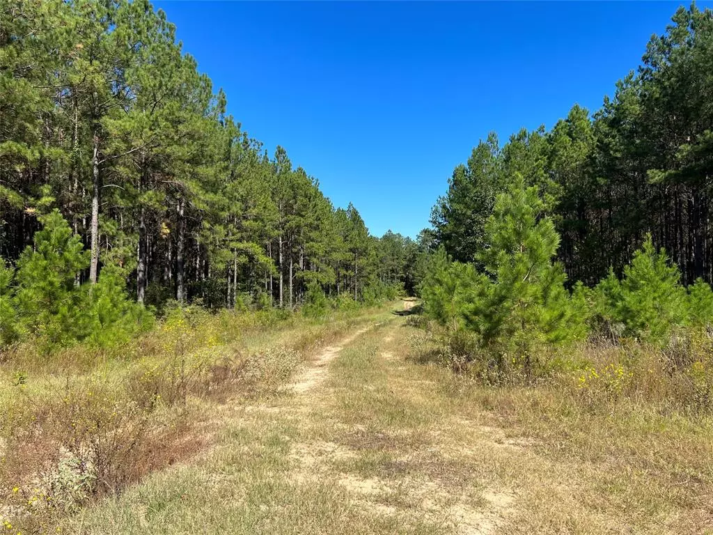 Livingston, TX 77351,1308 E Clamon Country Road