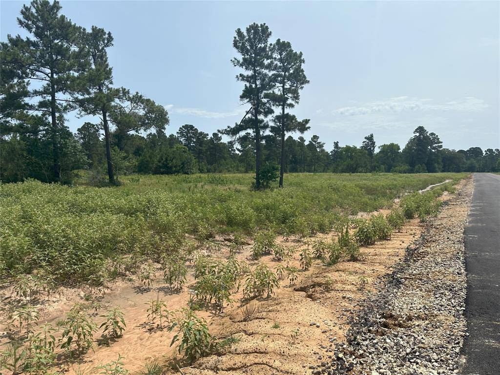 Waller, TX 77484,31914 Boone RD