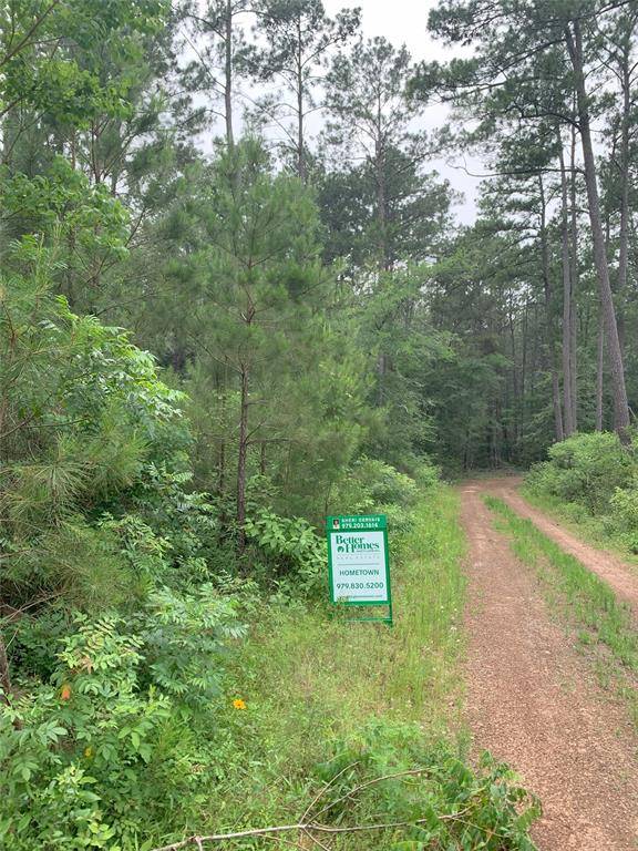 Lot 13 Cherry Tree LN, Plantersville, TX 77363