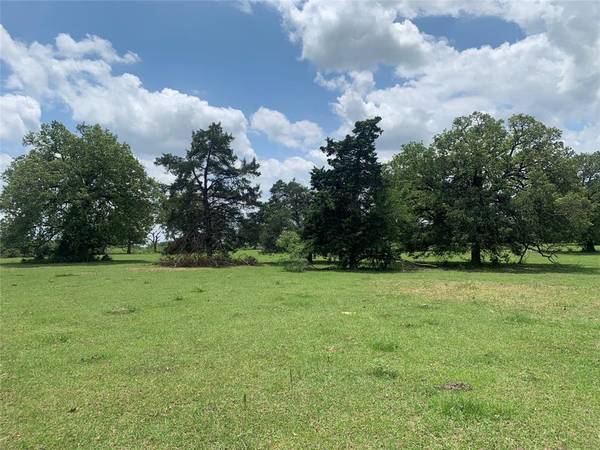 Burton, TX 77835,0000 Taplin Lane