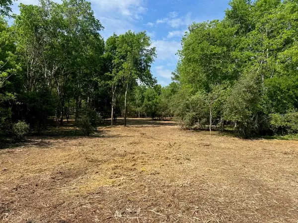 Chappell Hill, TX 77426,TBD Hidden Trail Lot 44