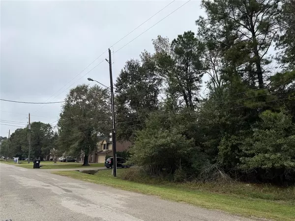 Magnolia, TX 77354,Lot 43 Durango DR