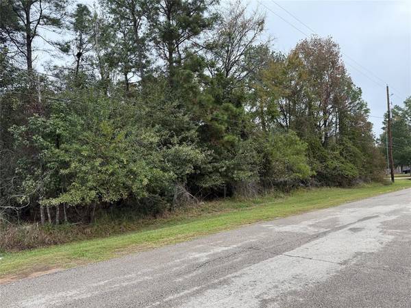 Lot 43 Durango DR, Magnolia, TX 77354