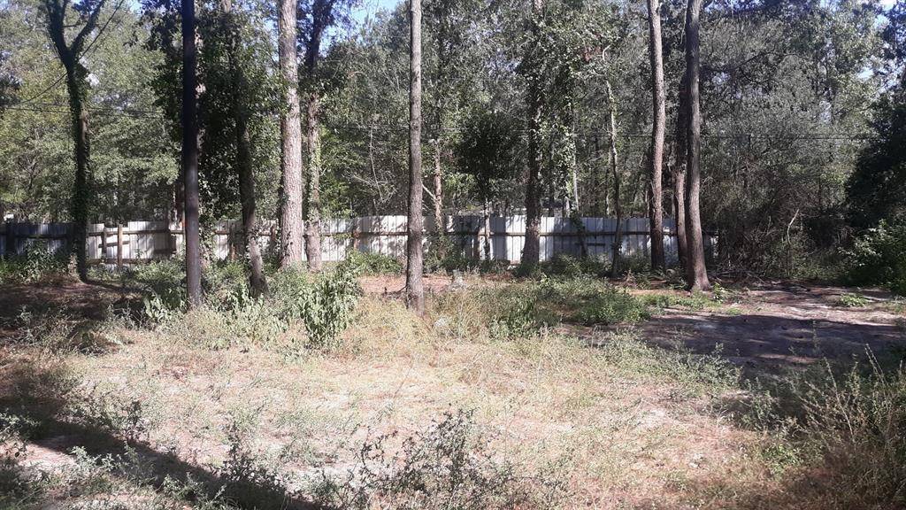 New Caney, TX 77357,20916 Stevens ST