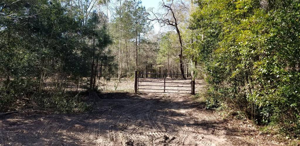 Conroe, TX 77304,TBD Linwood
