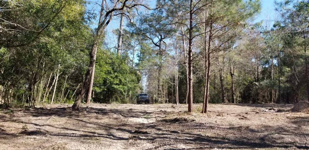 Conroe, TX 77304,TBD Linwood