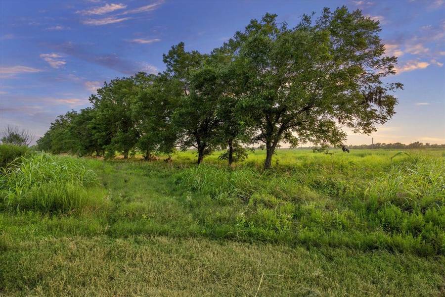 3944 Remmert RD, Sealy, TX 77474