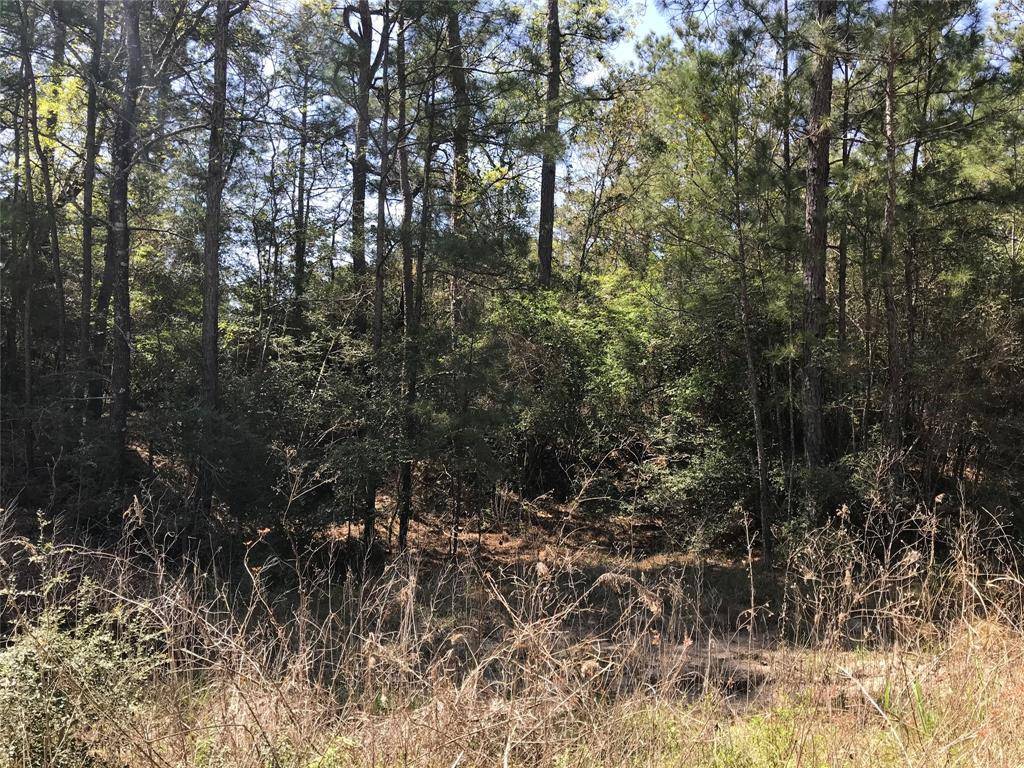 Onalaska, TX 77360,tbd lot 29 Parkview DR