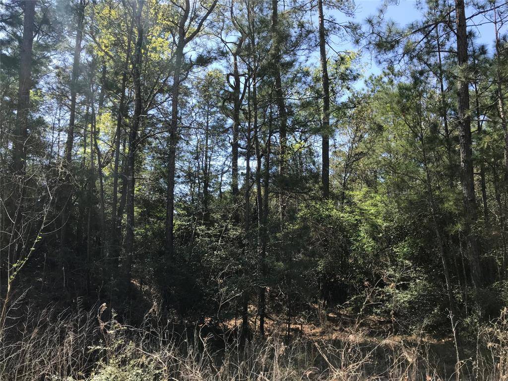 Onalaska, TX 77360,tbd lot 29 Parkview DR