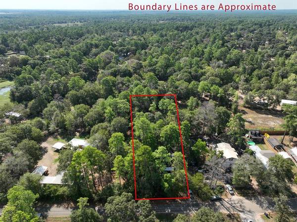 TBD W Hollyhill Drive,  Plantersville,  TX 77363