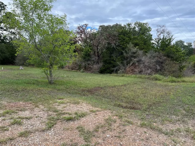 311 Boysenberry Road, Somerville, TX 77879