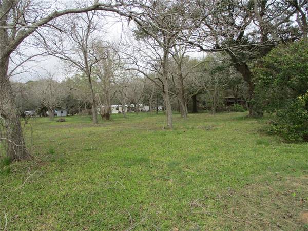 Oyster Creek, TX 77541,000 Allen Road Meadow